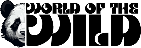 worldofthewild.net