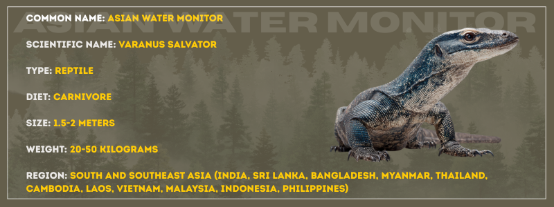 Asian Water Monitor