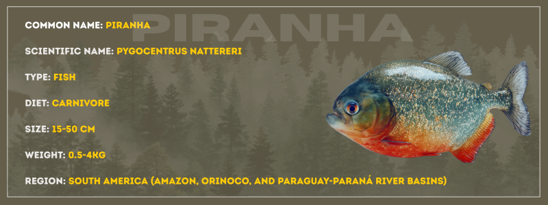 Piranha
