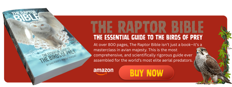 The Raptor Bible