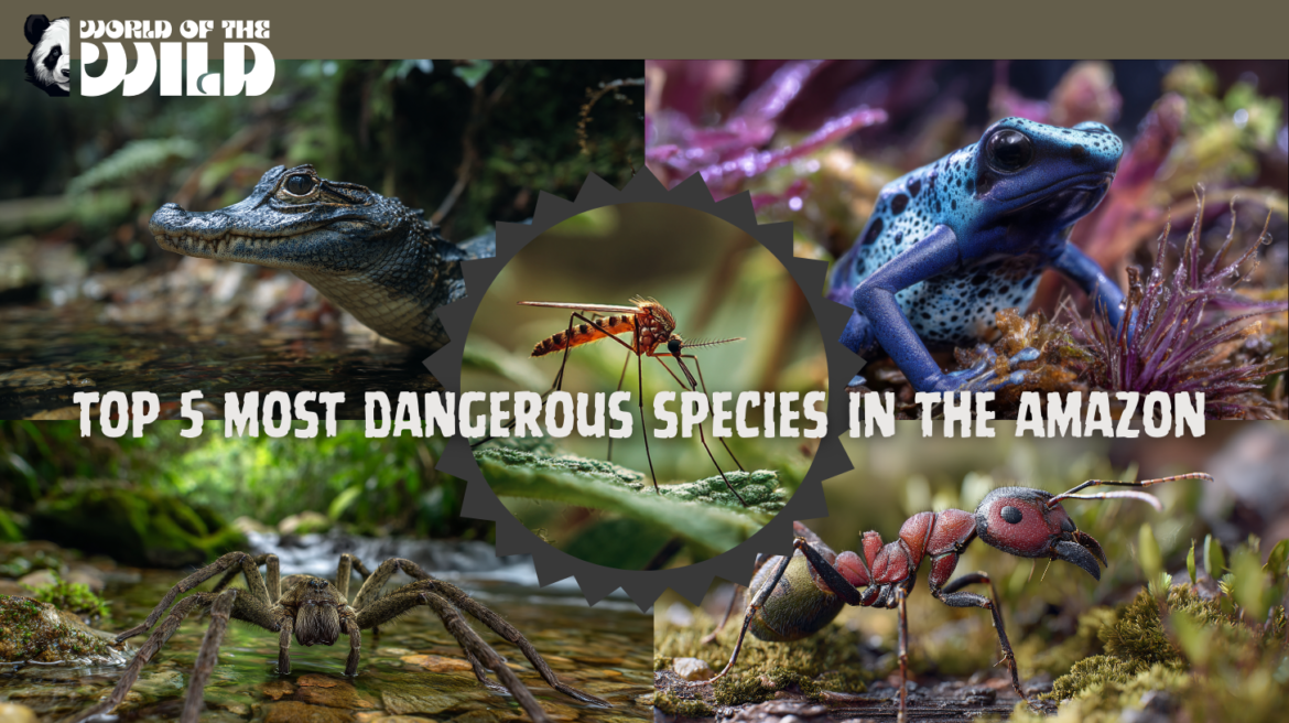 Top 5 Most Dangerous Animals in the Amazon