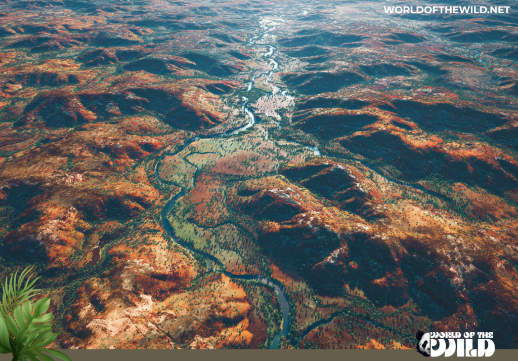 The Australian Outback