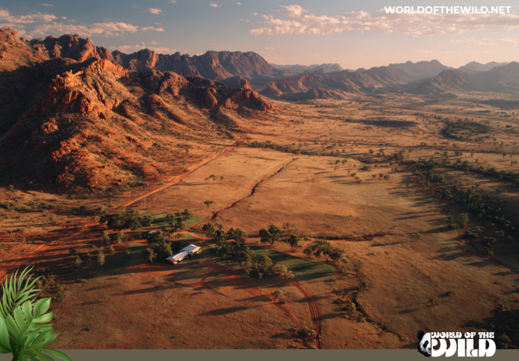 The Australian Outback