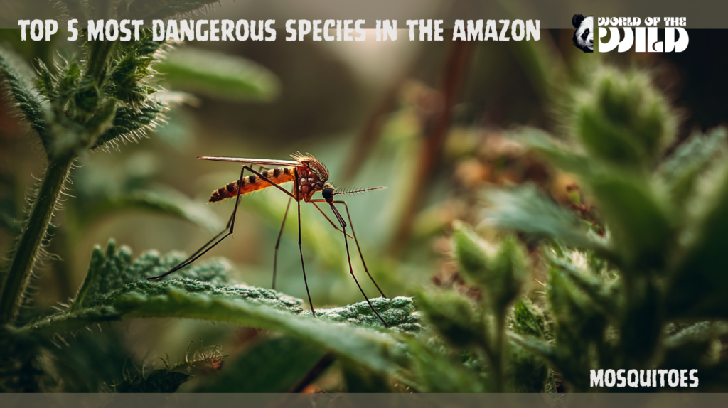 Top 5 Most Dangerous Animals in the Amazon