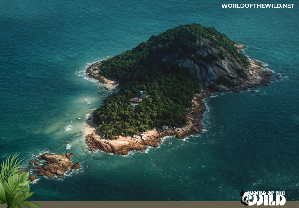 Snake Island Brazil