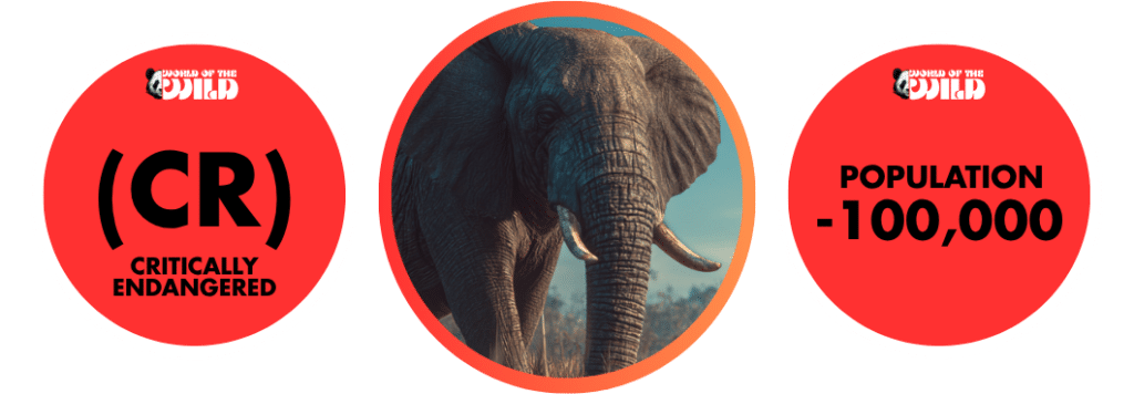 African Forest Elephant