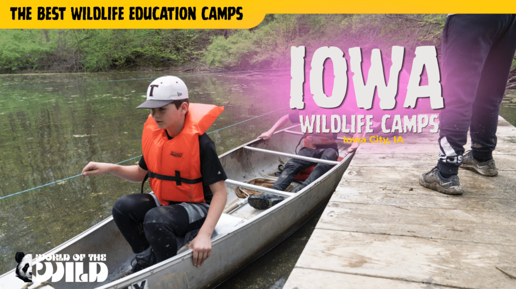 Iowa Wildlife Camps (UI WILD) — Iowa City, Iowa
