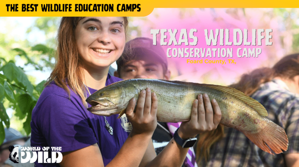 Texas Wildlife Conservation Camp — Foard County, Texas