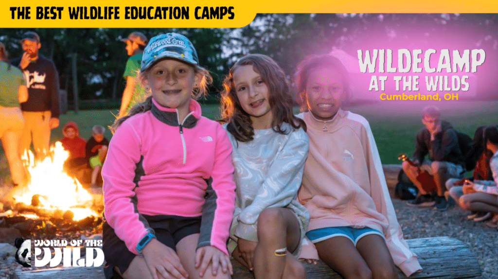 WildeCamp at The Wilds — Cumberland, Ohio