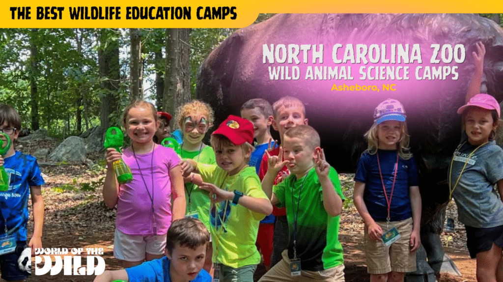 North Carolina Zoo Wild Animal Science Camps — Asheboro, North Carolina