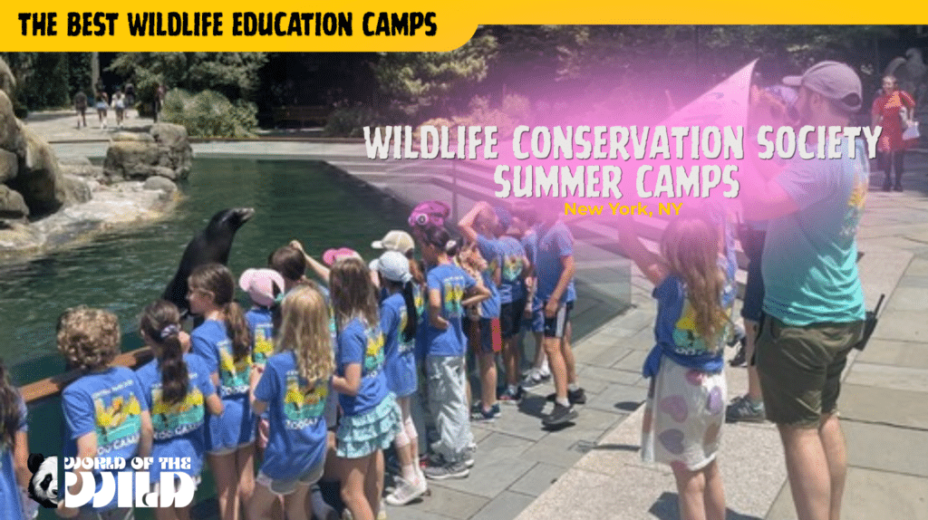 Wildlife Conservation Society Summer Camps — New York City (Central Park Zoo & Bronx Zoo)